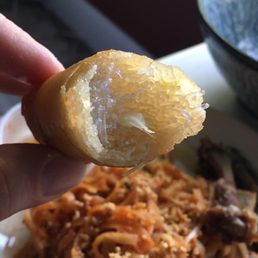 A spring roll filed with only noodles A spring roll filed with only noodles