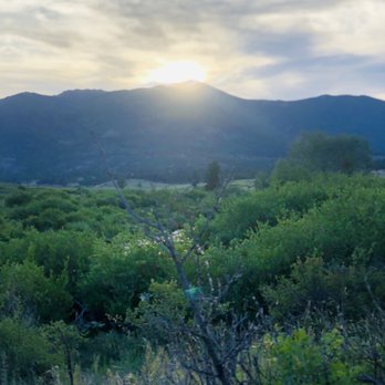 Yellow Wood Guiding - Tours Near Me - Estes Park, Colorado