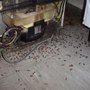 Photo of Westcoast Pest Services