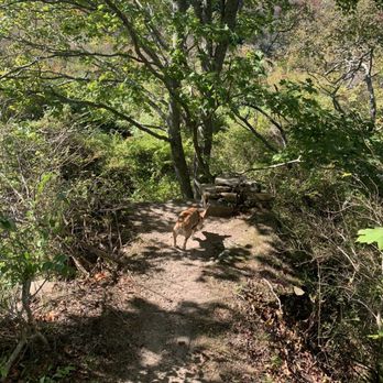 Ballard Park - Trail - Parks Near Me - Newport, Rhode Island Ballard Park - Trail - Parks Near Me - Newport, Rhode Island