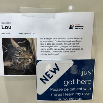 Nevada Humane Society - Animal Shelters Near Me - Reno, Nevada