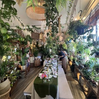 Pamana Plantas - Inside - Nurseries & Gardening Near Me - Berkeley, California Pamana Plantas - Inside - Nurseries & Gardening Near Me - Berkeley, California