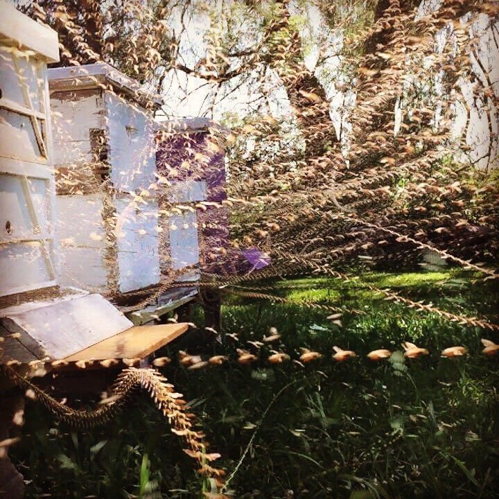 THE KELOWNA CANDLE FACTORY Updated September 2024 18 Photos 1278