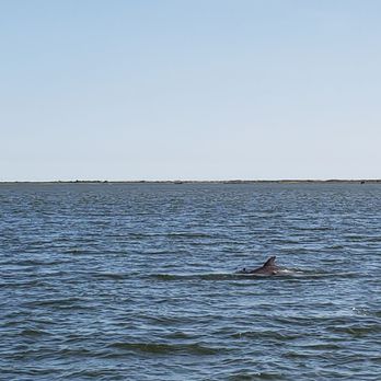 Captain Johnny's Dolphin Tours - Boat Tours Near Me - Manteo, North Carolina Captain Johnny's Dolphin Tours - Boat Tours Near Me - Manteo, North Carolina