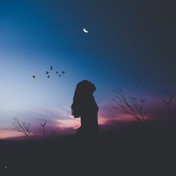Rebecca Sacks, MA, LPC - Counseling & Mental Health Near Me - Denver, Colorado Rebecca Sacks, MA, LPC - Counseling & Mental Health Near Me - Denver, Colorado