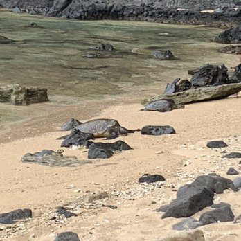 Capt Andy's - Boat Tours Near Me - Ele'ele, Hawaii
