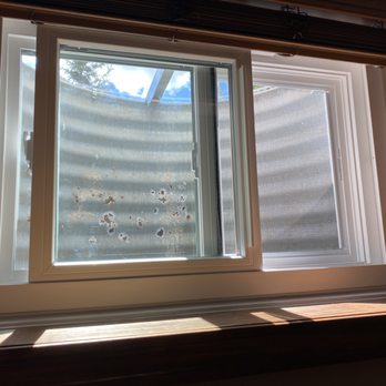 Window Well Services - Leaking window in question now replaced with this upgraded version; rusted metal in the window frame was scraped clean and painted/sealed - A double-hung window with a damaged screen, showing rust spots and dirt, with a view of the sky and trees outside. - Windows Installation Near Me - Elgin, Illinois