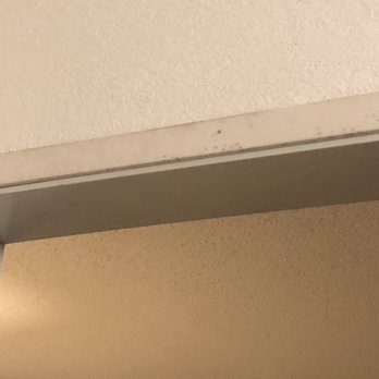 Quality Inn & Suites - Didn't see the black mold until the next morning, room 314 - Hotels Near Me - Mobile, Alabama