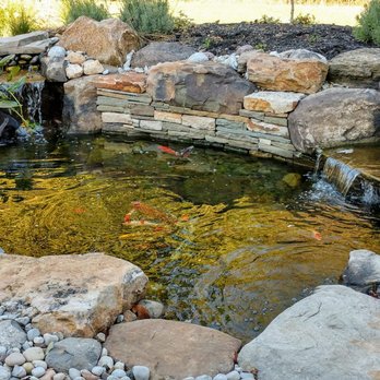 Absolute Landscape & Turf Services - a koi pond - Landscape Architects or Designers Near Me - Dayton, Maryland Absolute Landscape & Turf Services - a koi pond - Landscape Architects or Designers Near Me - Dayton, Maryland
