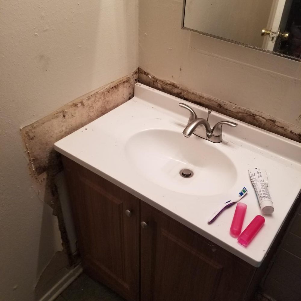 Fat Property - Mold around the sink - Apartments Near Me - Houston, Texas Fat Property - Mold around the sink - Apartments Near Me - Houston, Texas
