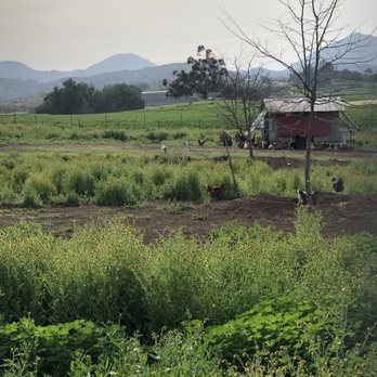 Eben-Haezer Poultry Ranch - Specialty Food Near Me - Ramona, California