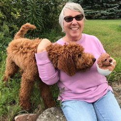 Sanders Meats - Ruby dog and Mary