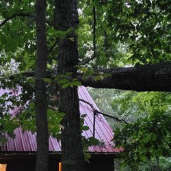 North Georgia Vacation Spots - Large tree that had fallen on the cabin