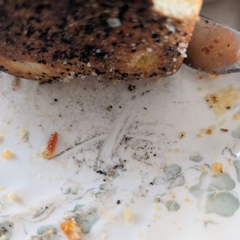 Yellow Brick Pizza - Black specks all over bottom of all over pizzas including the one we brought home - Pizza Near Me - Columbus, Ohio Yellow Brick Pizza - Black specks all over bottom of all over pizzas including the one we brought home - Pizza Near Me - Columbus, Ohio