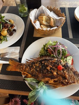 Hotel Villa Mexicana by null