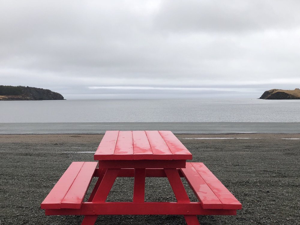 TWO WHALES COFFEE SHOP Updated October 2024 21 Photos & 12 Reviews 99 Main Road, Port