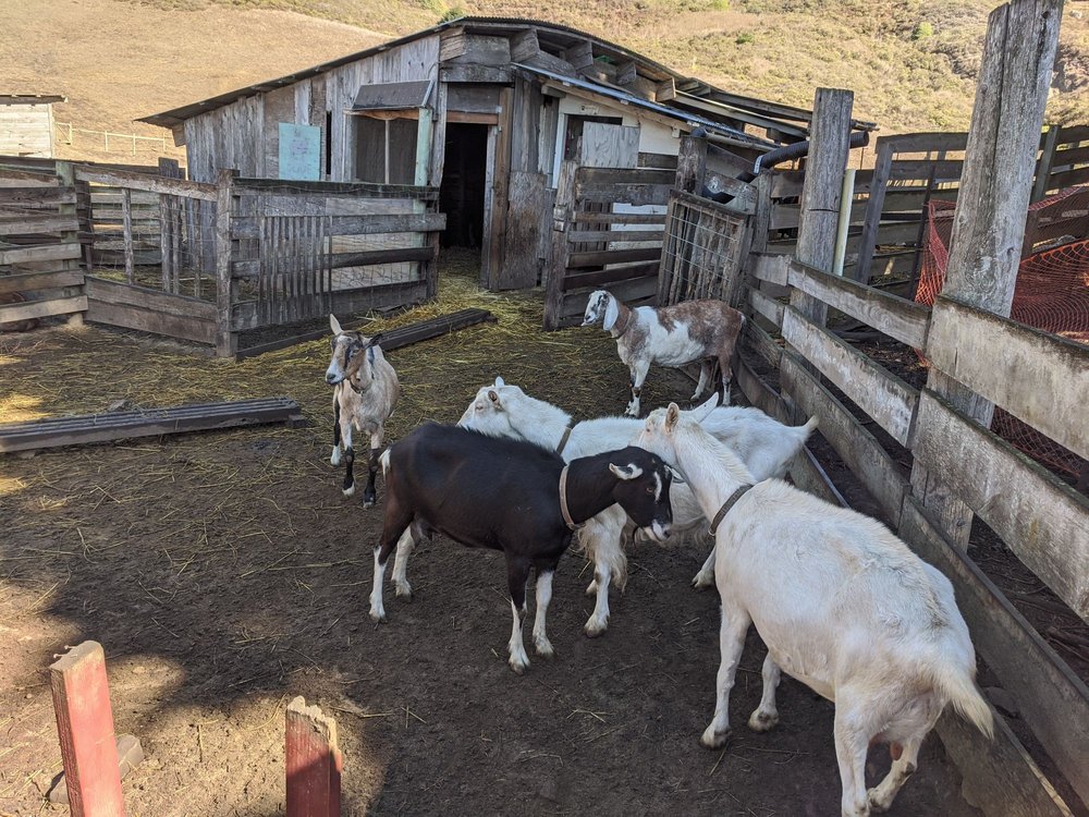 SLIDE RANCH Updated October 2024 94 Photos & 33 Reviews 2025