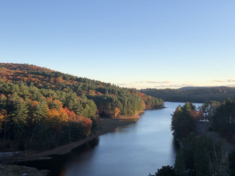 Lake McDonough Recreational Area