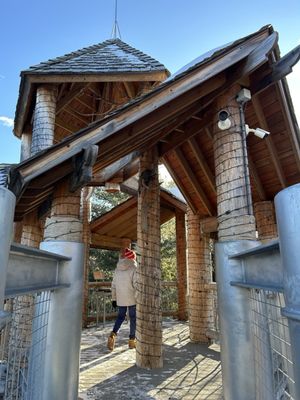 The Wild Center by null