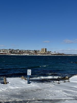 Bug Light Park by null