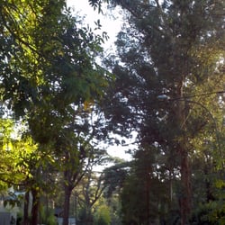 Bosque Peralta Ramos