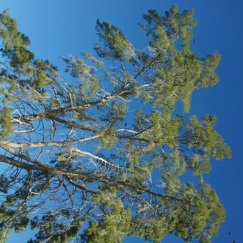 Encanto Park - Parks Near Me - Phoenix, Arizona