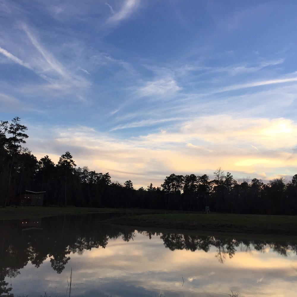 Lake Houston Wilderness Park - Beautiful sunsets - Parks Near Me - New Caney, Texas Lake Houston Wilderness Park - Beautiful sunsets - Parks Near Me - New Caney, Texas