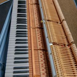 Noteworthy Piano Tuning