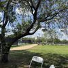 Arlington Tennis Center gift card