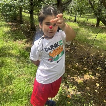 Alstede Farms - First cherry Keion picked. - Fruits & Veggies Near Me - Chester, New Jersey