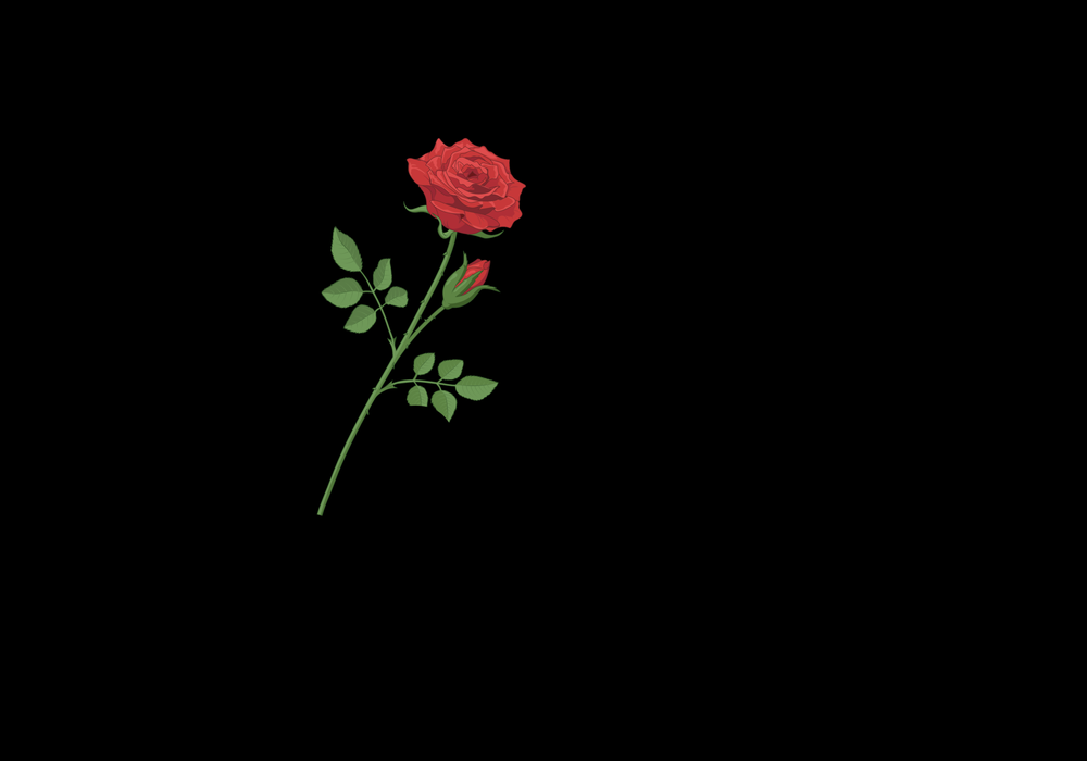 Rosewater Cafe