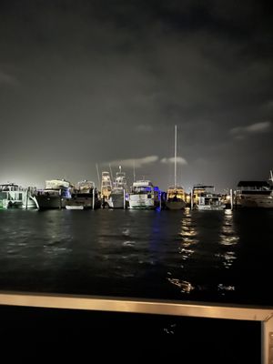 Mangrove Marina by null