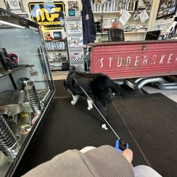 Steve's Westside Muffler & Brake Shop