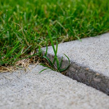 PolyMagic - a crack in a sidewalk - Masonry/Concrete Near Me - Belton, Missouri PolyMagic - a crack in a sidewalk - Masonry/Concrete Near Me - Belton, Missouri