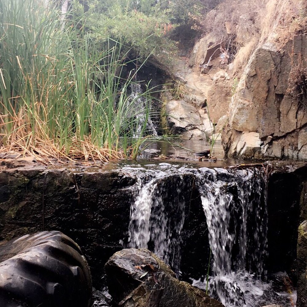 The falls ! The falls !