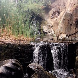 The falls ! The falls !