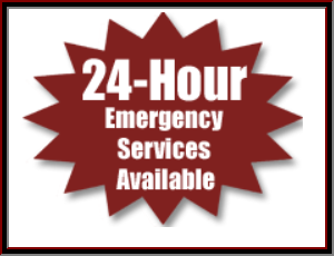 Slide of Speedy Rooter