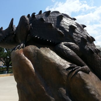 TCU - Colleges & Universities Near Me - Fort Worth, Texas