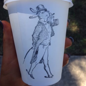 Fox & Rabbit Coffee Co. - If I died today my last words would be 'try the cold brew coffee at fox & rabbit' - Coffee & Tea Near Me - Paddington, QLD