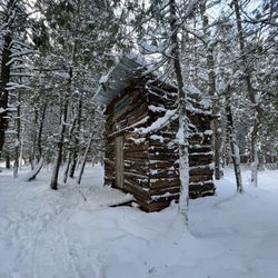 New Earth Estate - Our beautiful cabin "Ash" which is fun because I am named after the Ash tree