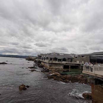 The Open Sea - Aquariums Near Me - Monterey, California The Open Sea - Aquariums Near Me - Monterey, California