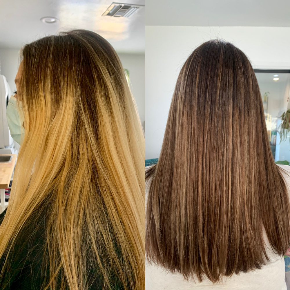 THE SHEAR LOUNGE BRIDGET DOMINGUEZ Updated September 2024 33