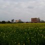 Photo of Kamýk