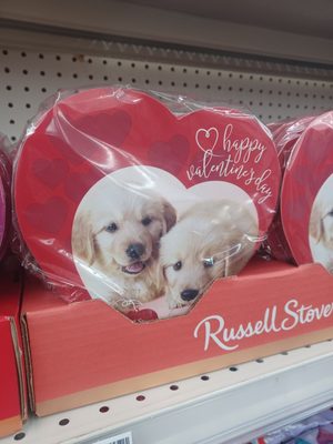 CVS PHARMACY - Updated August 2025 - 25 Photos & 41 Reviews - 31021 ...