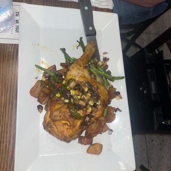 Boca Ciega - Chicken dish - Bars Near Me - St Petersburg, Florida Boca Ciega - Chicken dish - Bars Near Me - St Petersburg, Florida