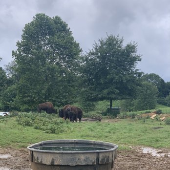 Nova Wild - Petting Zoos Near Me - Vienna, Virginia