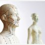 Photo of Orchid Acupuncture