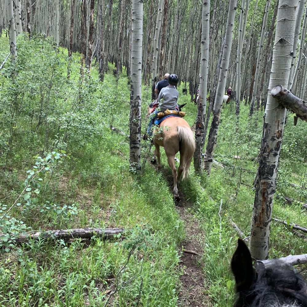Halfmoon Packing & Outfitting - Horseback Riding Near Me - Leadville, Colorado Halfmoon Packing & Outfitting - Horseback Riding Near Me - Leadville, Colorado