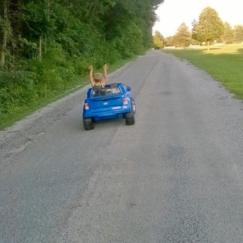 Yellow Creek Park - Parks Near Me - Owensboro, Kentucky