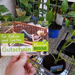 Blumen Risse - Und auch in diesem Jahr die Gärtnersaison mit einem Blumen Risse Gutschein eingeläutet!
